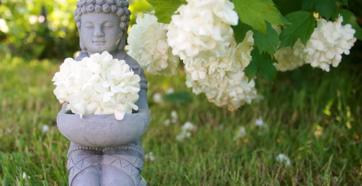 Eine Buddha-Statue im Garten, umgeben von weißen Blüten.