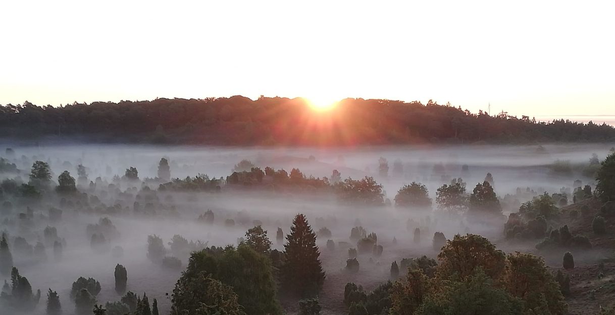 Sonnenaufgang über nebliger Landschaft mit Bäumen im Totengrund.