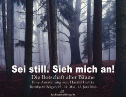 Das Ausstellungsplakat zeigt eine alte Eiche im Sachsenwald