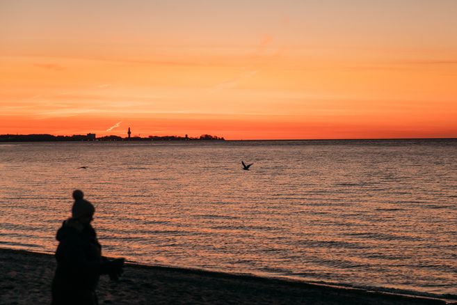 Sonnenaufgang an der Ostsee mit einer Person im Vordergrund und einem Vogel über dem Wasser.