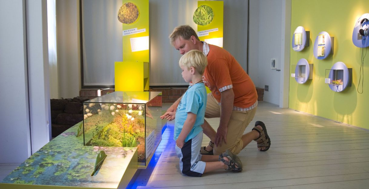 Ein Mann und ein Kind betrachten ein Diorama in einer Ausstellung über Moore.