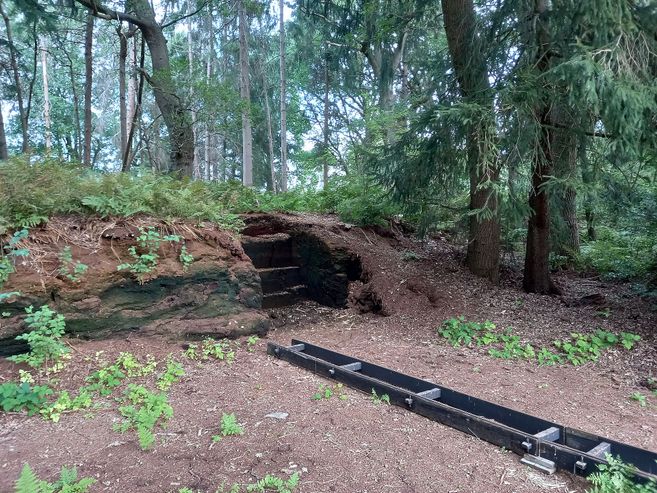 Ein Torfabbaugebiet im Wald mit einem Graben und umgebenden Bäumen.