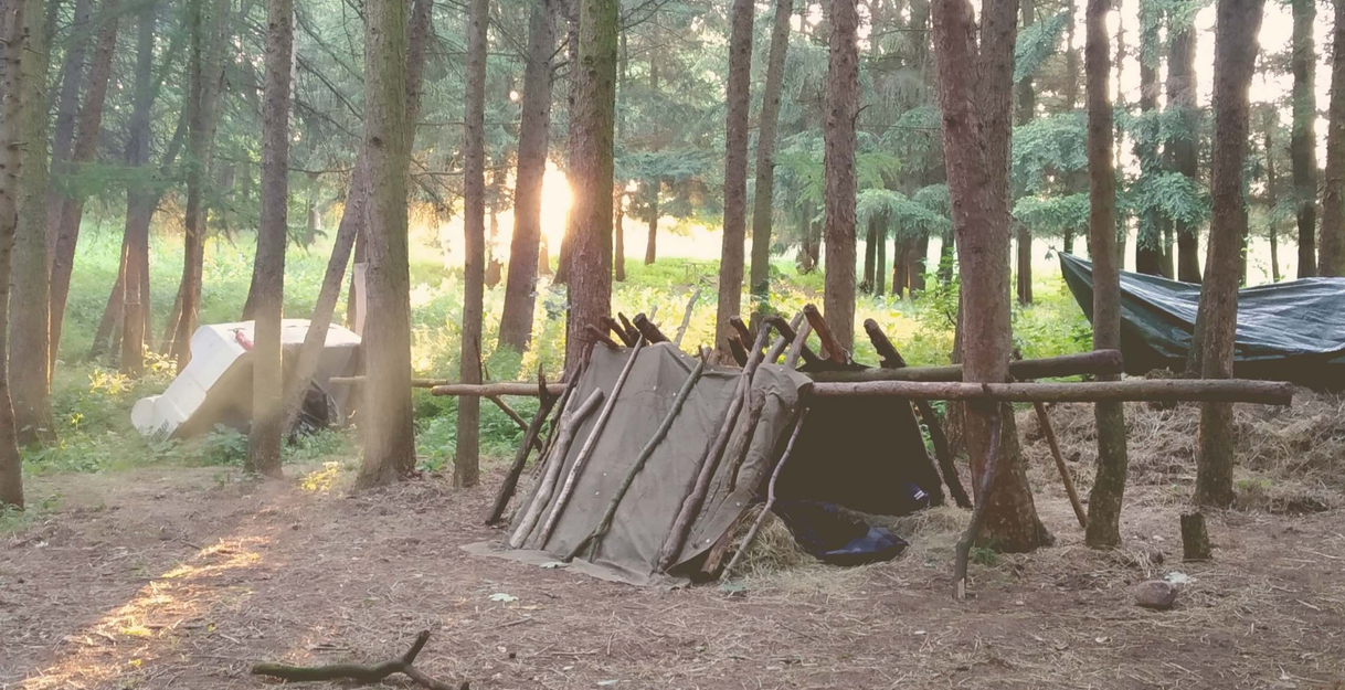 Ein improvisierter Unterschlupf aus Ästen und Planen im Wald.