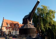 Friederike Schockenhoff