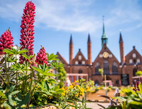 Blumen im Vordergrund mit einem historischen Gebäude im Hintergrund in Lübeck.