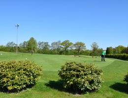 Ein Golfer auf einem Übungsgrün bei sonnigem Wetter, umgeben von Büschen und Bäumen.