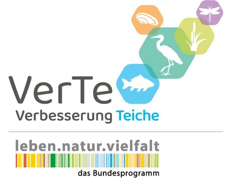 Logo des Projekts VerTe - Verbesserung Teiche mit Symbolen von Tieren und Pflanzen.