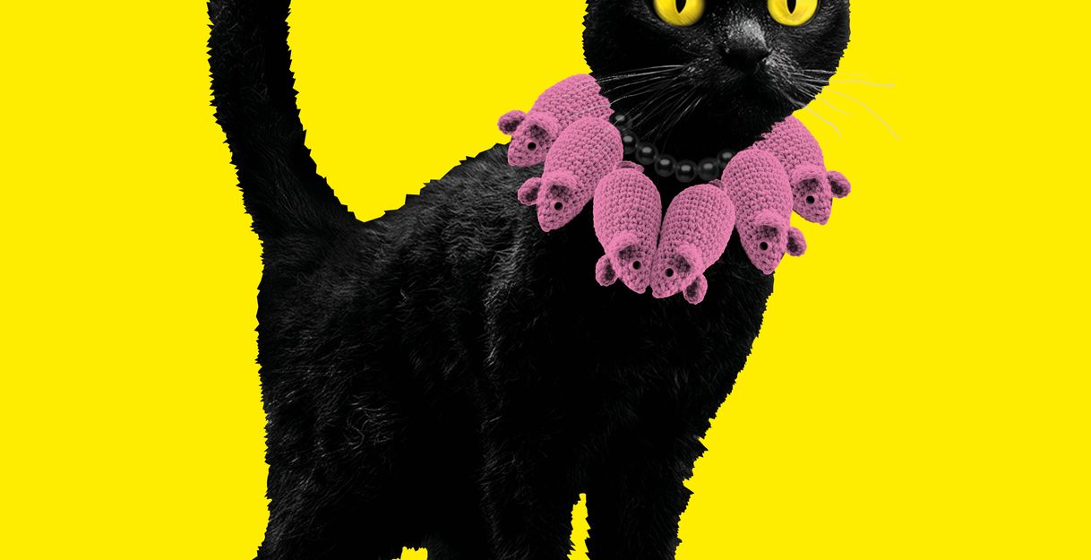 schwarze Katze mit rosa Halsband 