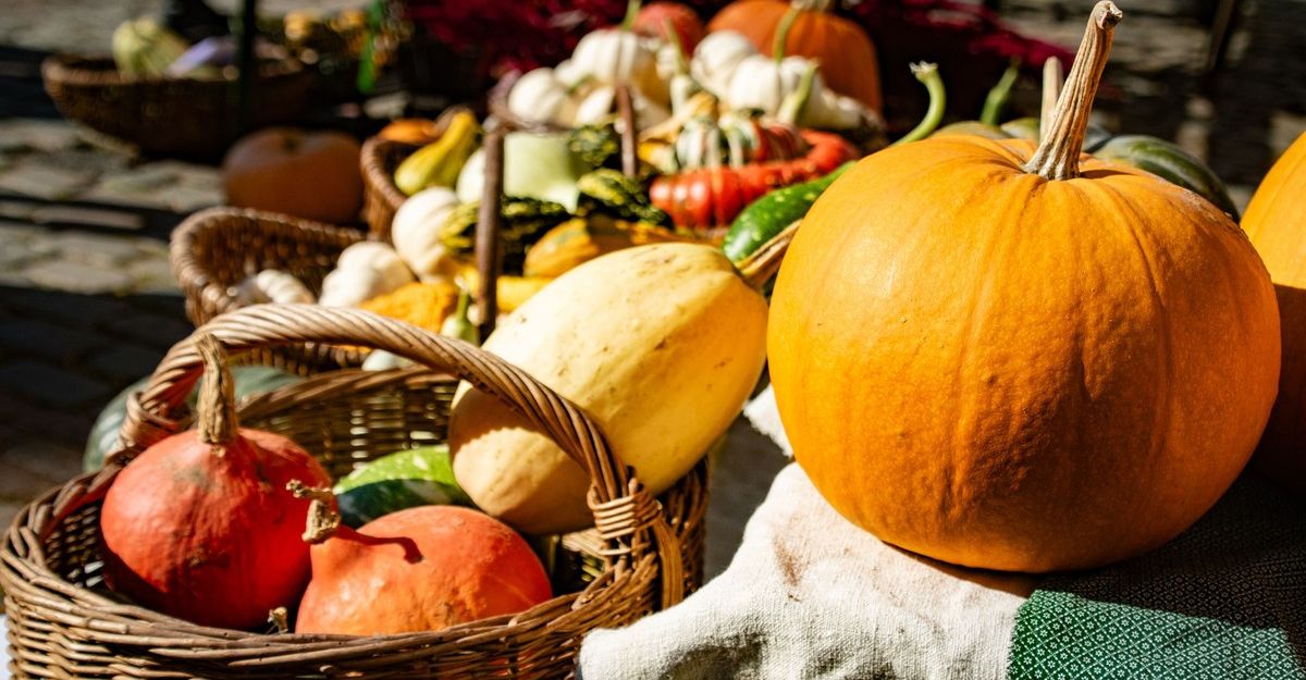 Körbe mit Kürbissen und Gemüse auf einem Marktstand.