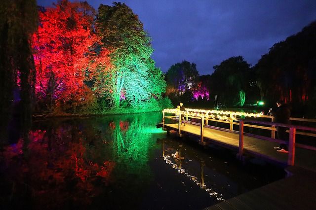 Ein beleuchteter Steg in einem Park, umgeben von bunt angestrahlten Bäumen und einem Teich bei Nacht.