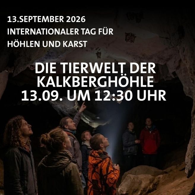 a group of people in a cave looking up at the ceiling
