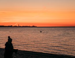 Sonnenaufgang an der Ostsee mit einer Person im Vordergrund und einem Vogel über dem Wasser.