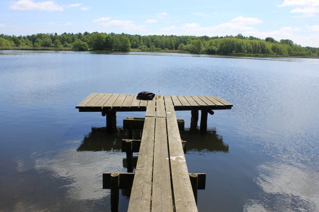 Ein hölzerner Steg ragt in einen ruhigen See, umgeben von grünen Bäumen und blauem Himmel.