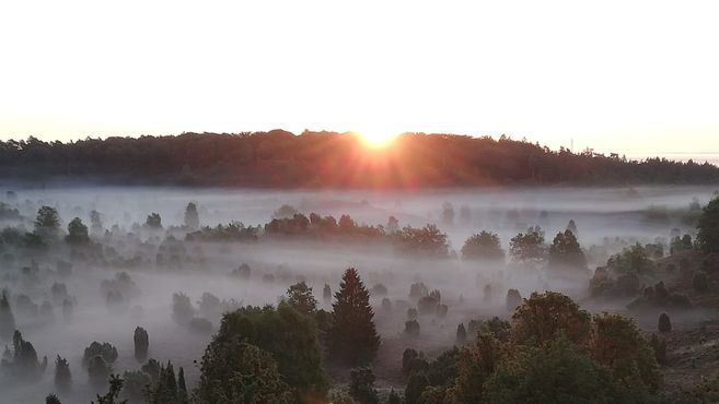 Sonnenaufgang über nebliger Landschaft mit Bäumen im Totengrund.