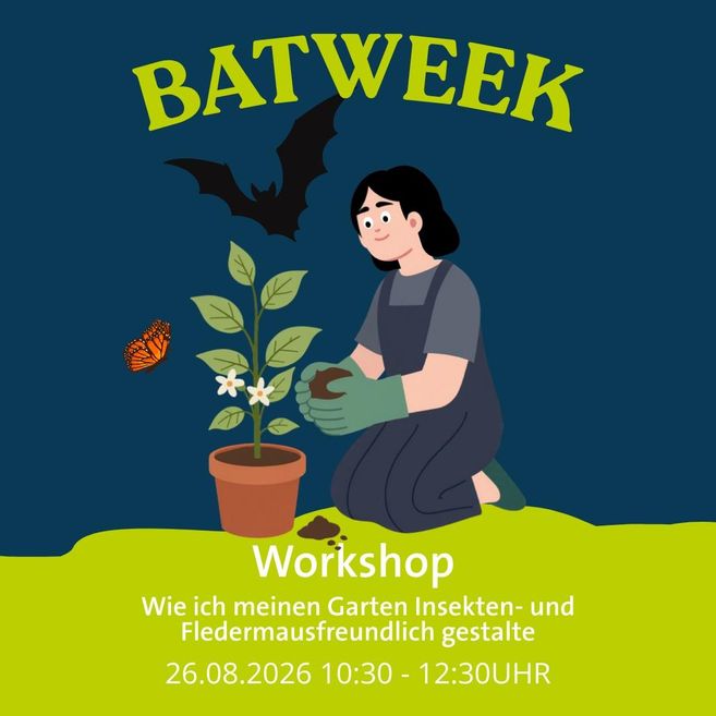 a drawn person takes care of a plant while a butterfly and a bat fly by
