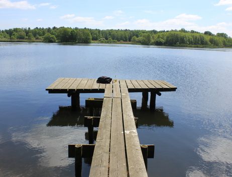Ein hölzerner Steg ragt in einen ruhigen See, umgeben von grünen Bäumen und blauem Himmel.