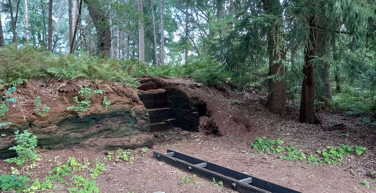 Ein Torfabbaugebiet im Wald mit einem Graben und umgebenden Bäumen.