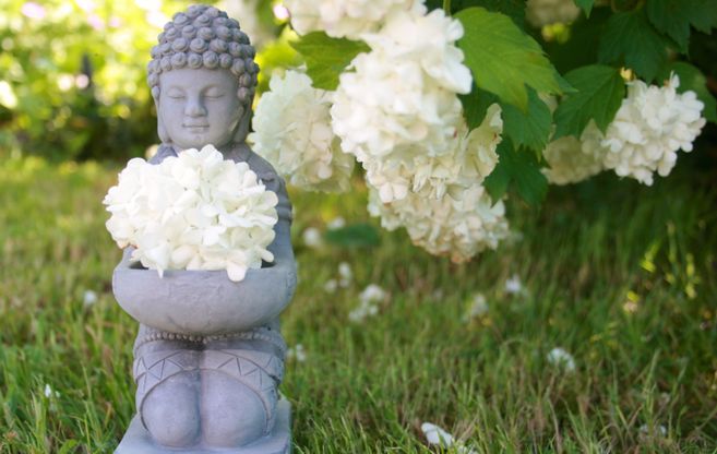 Eine Buddha-Statue im Garten, umgeben von weißen Blüten.