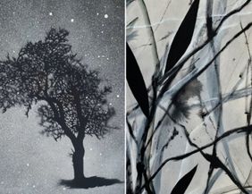 2 Schwarz-Weiß arbeiten, links ein Baum im Nebel mit Sternenhimmel und rechts eine abstrakte Fiomen, erinnern an eine Hecke