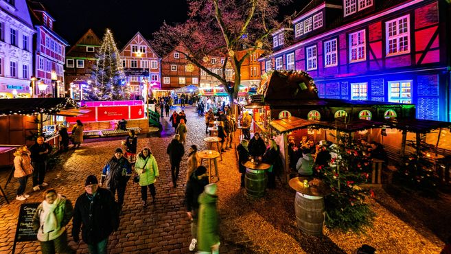 Weihnachtsmarkt mit Menschen, Lichtern und geschmückten Tannenbäumen.