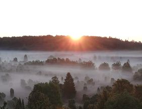 Sonnenaufgang über nebliger Landschaft mit Bäumen im Totengrund.