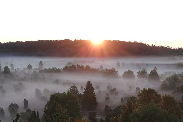 Sonnenaufgang über nebliger Landschaft mit Bäumen im Totengrund.