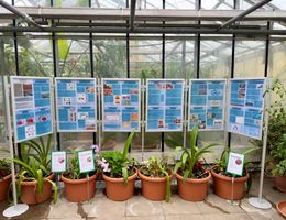 Ausstellung: Vom Feld ins Regal 