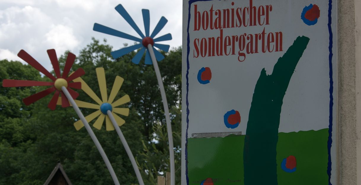 Botanischer Sondergarten Wandsbek