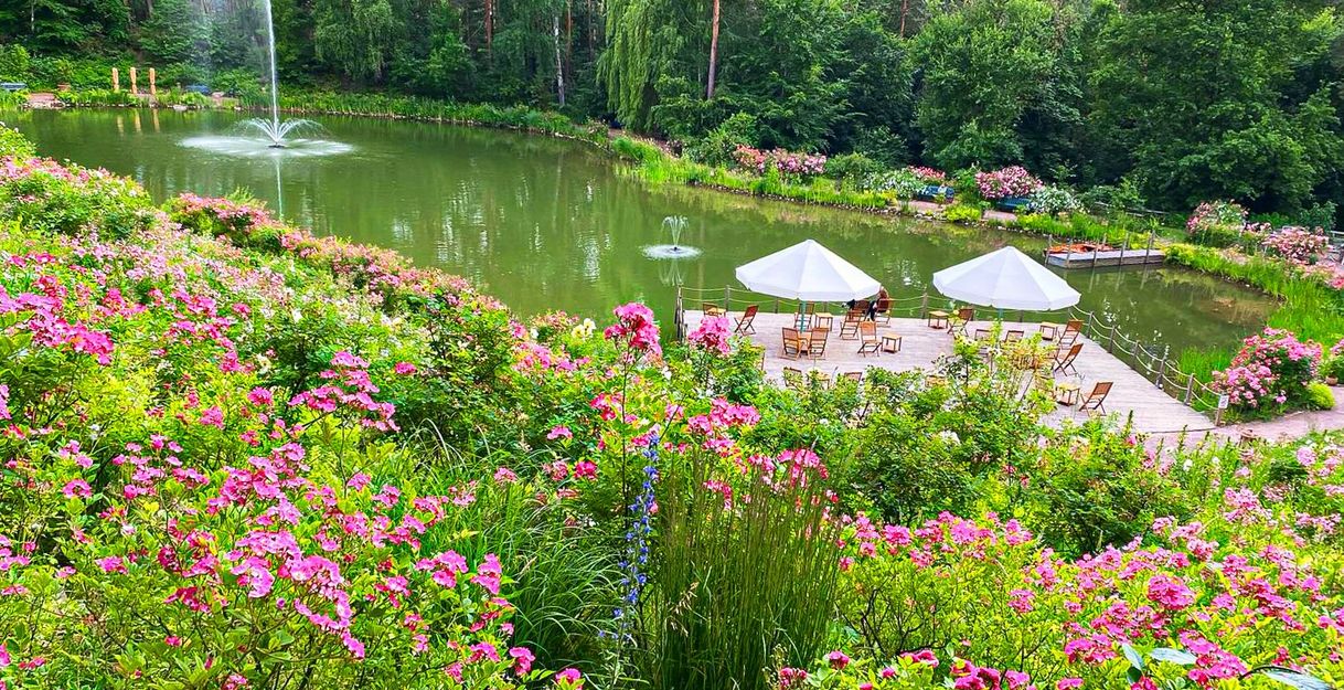 Ein blühender Garten mit einem Teich, umgeben von Rosen und Bäumen. Im Vordergrund sind rosa Blumen, im Hintergrund ein Steg mit Sonnenschirmen und Stühlen.