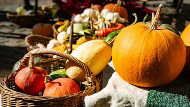 Körbe mit Kürbissen und Gemüse auf einem Marktstand.