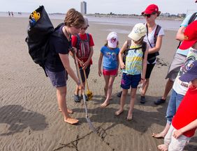 Wattwanderung in Büsum: Weltnaturerbe Wattenmeer