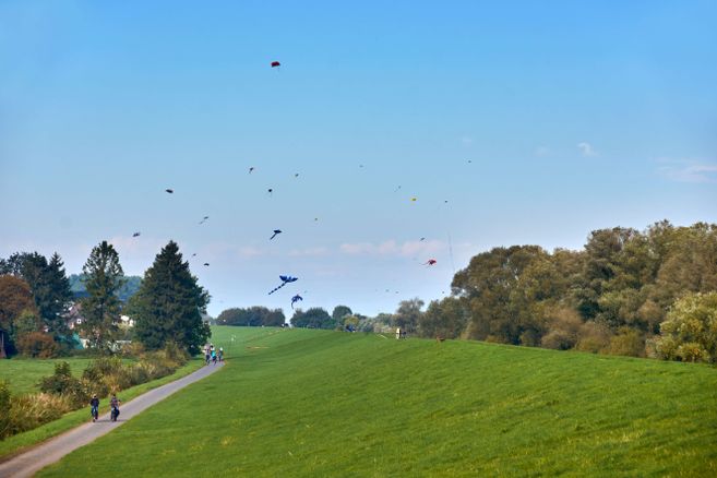 Mehrere Drachen fliegen am Himmel über einer grünen Wiese mit Spaziergängern auf einem Weg.