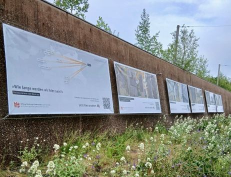 Große Plakat hängen an einer Mauer, darunter wachsen Pflanzen