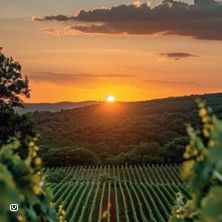 Georgische Weinreise